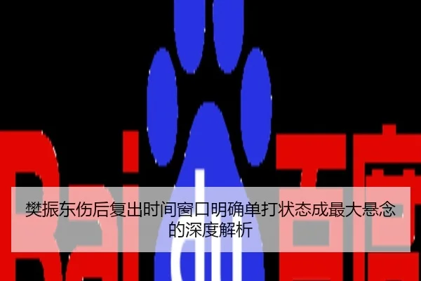 樊振东伤后复出时间窗口明确单打状态成最大悬念的深度解析